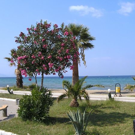 Samos Apart Pension Güzelçamlı Ngoại thất bức ảnh